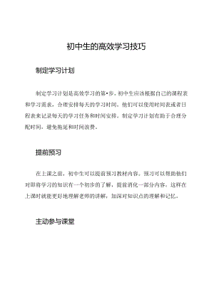 初中生的高效学习技巧.docx