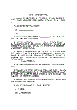 两人合伙合作协议书范本大全.docx
