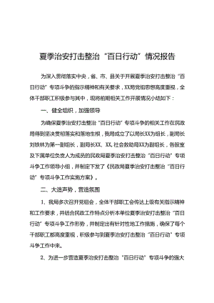2024开展夏季治安打击整治“百日行动”工作总结(二十五篇).docx