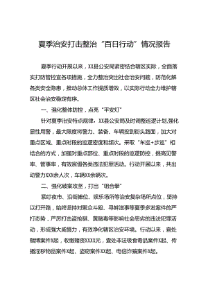 公安局纵深推进2024年夏季行动工作报告十四篇.docx