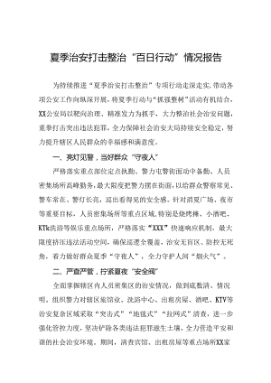 公安局2024年开展夏季治安打击整治行动工作汇报13篇.docx