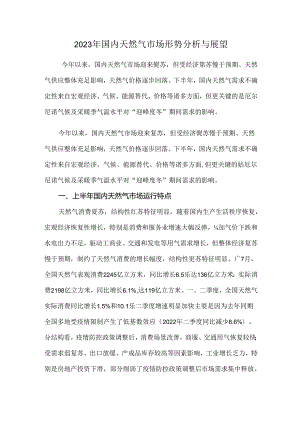 2023年国内天然气市场形势分析与展望.docx