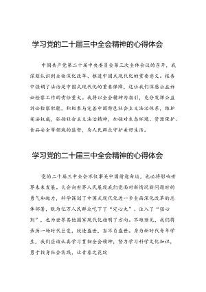 学习贯彻2024年二十届三中全会精神心得体会简短发言二十七篇.docx