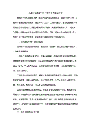 小海子镇李家村乡村振兴工作情况汇报.docx