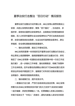 公安局推进2024年夏季治安打击整治专项行动工作报告13篇.docx