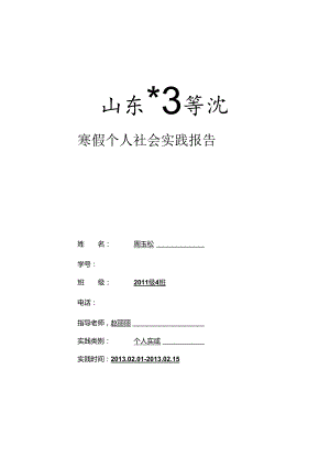 美丽中国春节习俗实践报告.docx