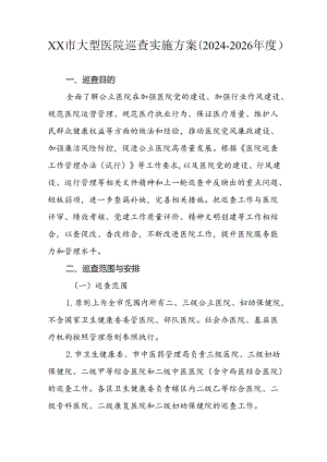 市级大型医院巡查实施方案（2024-2026年）.docx