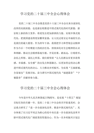 学习2024年党的二十届三中全会心得体会 （16份）_71.docx