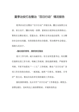2024年夏季治安打击整治行动总结汇报(十一篇).docx