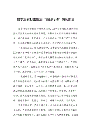 2024年公安“夏季行动”情况报告11篇.docx