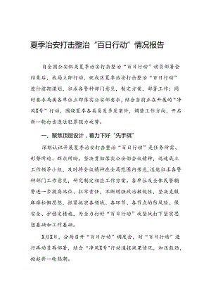 九篇2024年区公安分局开展夏季治安打击整治“百日行动”进展情况汇报总结.docx