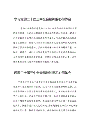 学习党的二十届三中全会心得感悟交流体会十四篇.docx