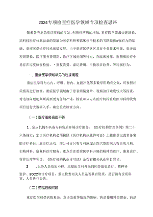 2024专项检查症医学领域专项检查思路.docx