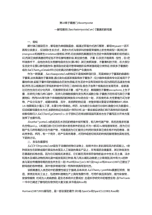酵母菌目（Saccharomycetales）子囊菌的酵母菌.docx