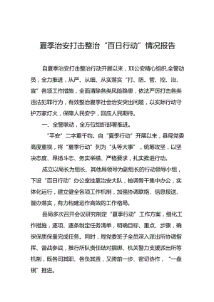 2024年公安夏季治安打击整治行动情况汇报8篇.docx