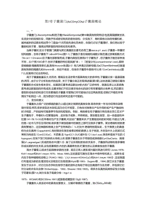 子囊菌门（Ascomycota）子囊菌概论.docx