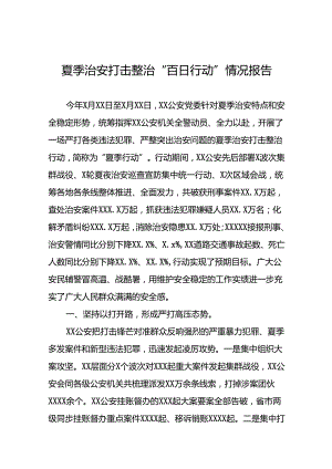 十二篇公安2024年开展夏季治安打击整治行动情况报告.docx