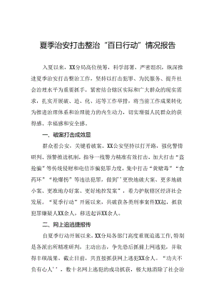 十八篇2024年夏季治安打击整治专项工作总结.docx