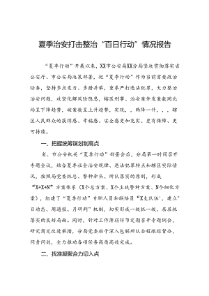 派出所2024公安夏季治安打击整治行动情况报告19篇.docx