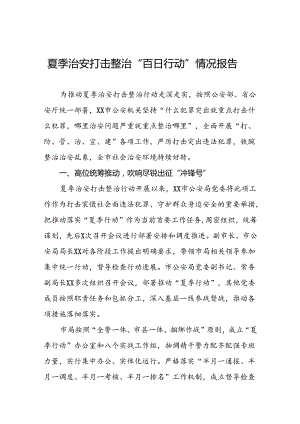 2024年公安夏季治安打击整治“百日行动”总结报告11篇.docx
