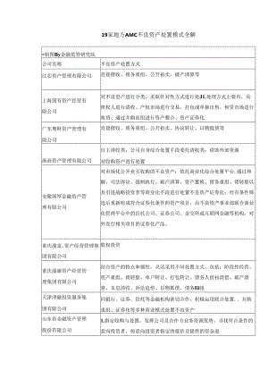 19家地方AMC不良资产处置模式全解.docx
