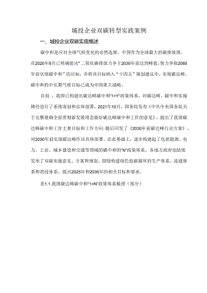 城投企业双碳转型实践案例.docx
