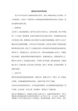 大学生村官年终总结.docx