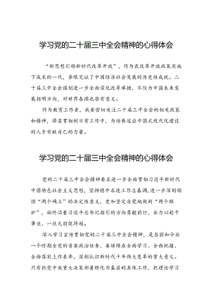 (范文30篇)学习二十届三中全会精神的心得体会.docx