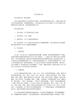 项目实施方案汇编.docx