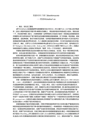 子囊菌门Phylum Ascomycota古生子囊菌Achiascomycetes.docx