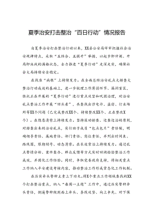 2024年推进夏季治安打击整治行动走深走实情况报告二十一篇.docx