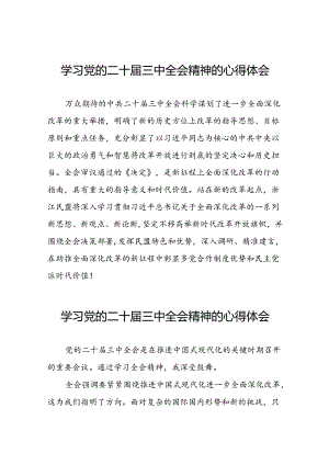 关于二十届三中全会精神学习体会模板三十五篇.docx