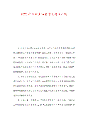 2023年组织生活会意见建议汇编.docx