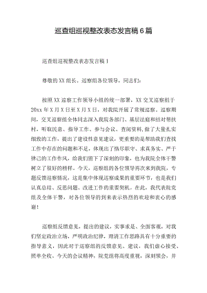 巡查组巡视整改表态发言稿6篇.docx