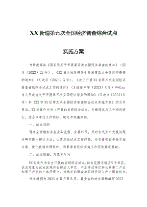 XX街道第五次全国经济普查综合试点实施方案.docx