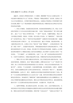 法院2023年八五普法工作总结.docx