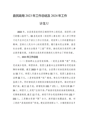 县民政局2023年工作总结及2024年工作计划(20240118).docx