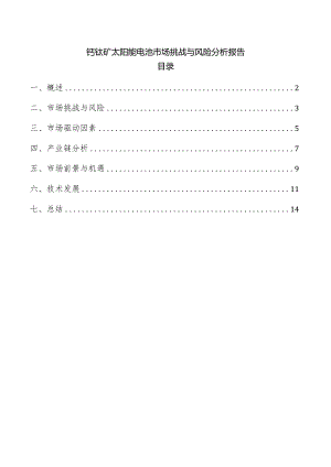 钙钛矿太阳能电池市场挑战与风险分析报告.docx