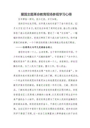 爱国主题革命教育现场参观学习心得.docx