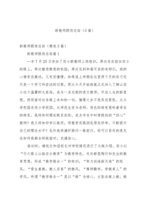 新教师跟岗总结（3篇）.docx
