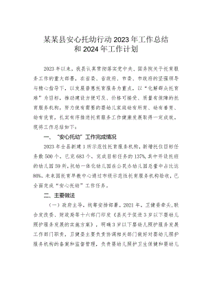某某县安心托幼行动2023年工作总结和2024年工作计划.docx