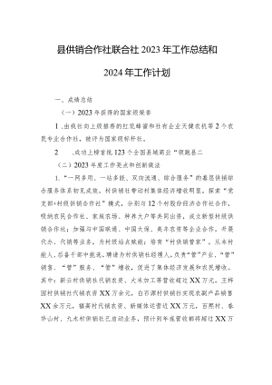 县供销合作社联合社2023年工作总结和2024年工作计划(20240117）.docx