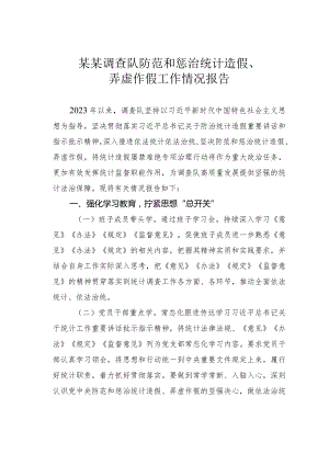 某某调查队防范和惩治统计造假、弄虚作假工作情况报告.docx