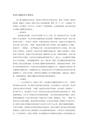 街道主题教育自查报告.docx