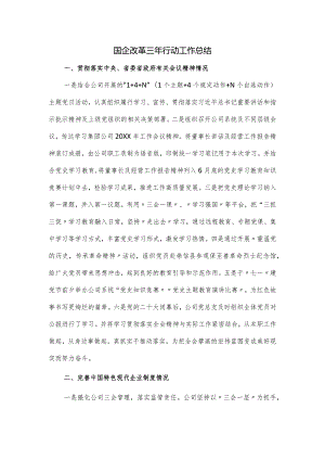 国企改革三年行动工作总结.docx