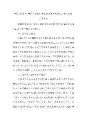 xxxx党支部2023年度组织生活会召开情况和民主评议党员工作报告.docx