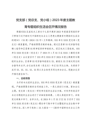 党支部（党总支、党小组）2023年度主题教育专题组织生活会召开情况报告.docx