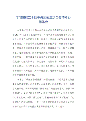 纪检干部学习二十届中央纪委三次全会精神的心得感悟十九篇.docx