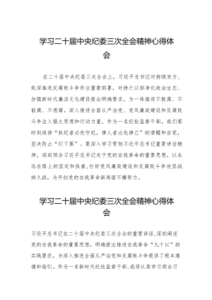 二十届中央纪委三次全会精神心得体会发言稿二十篇.docx
