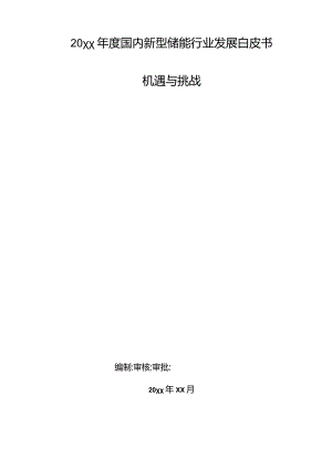 20xx年度国内新型储能行业发展白皮书机遇与挑战.docx